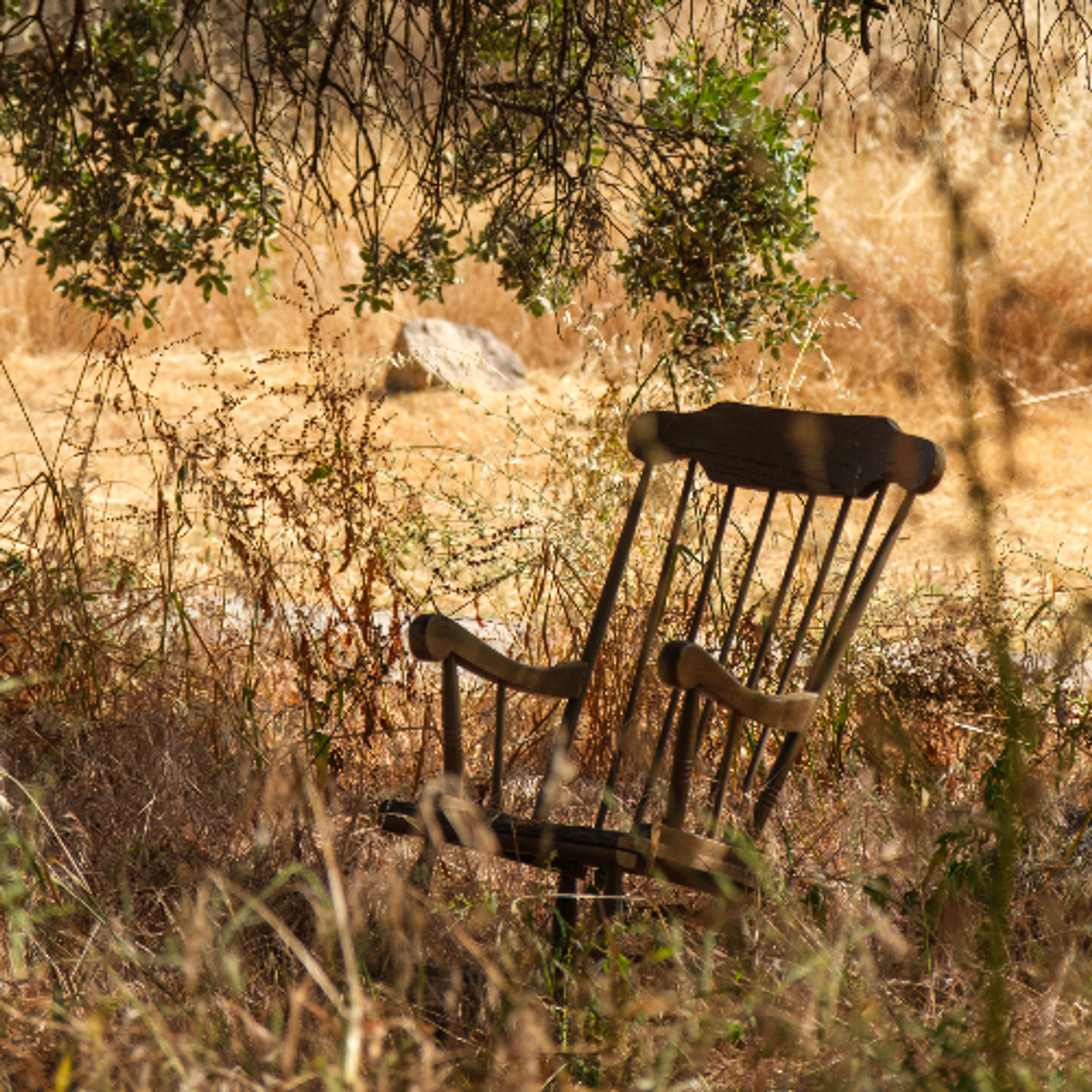 Rural vs. Urban Coworking: Advantages of Working in Nature